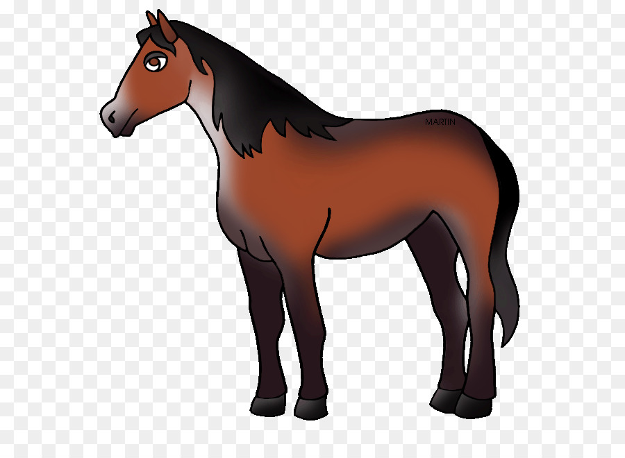 Nokota Cavalo，Estados Unidos PNG