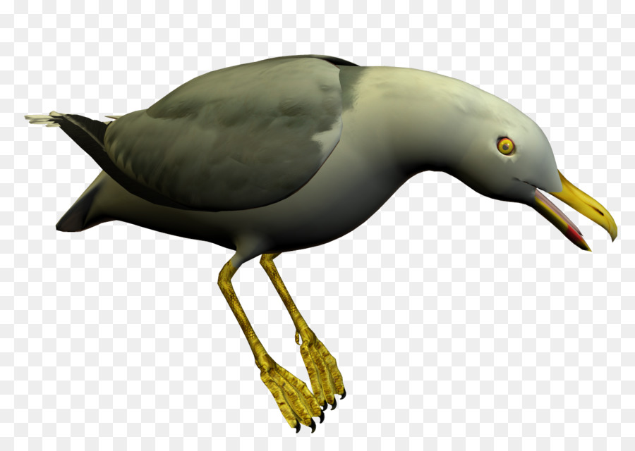 Gaivota，Vôo PNG