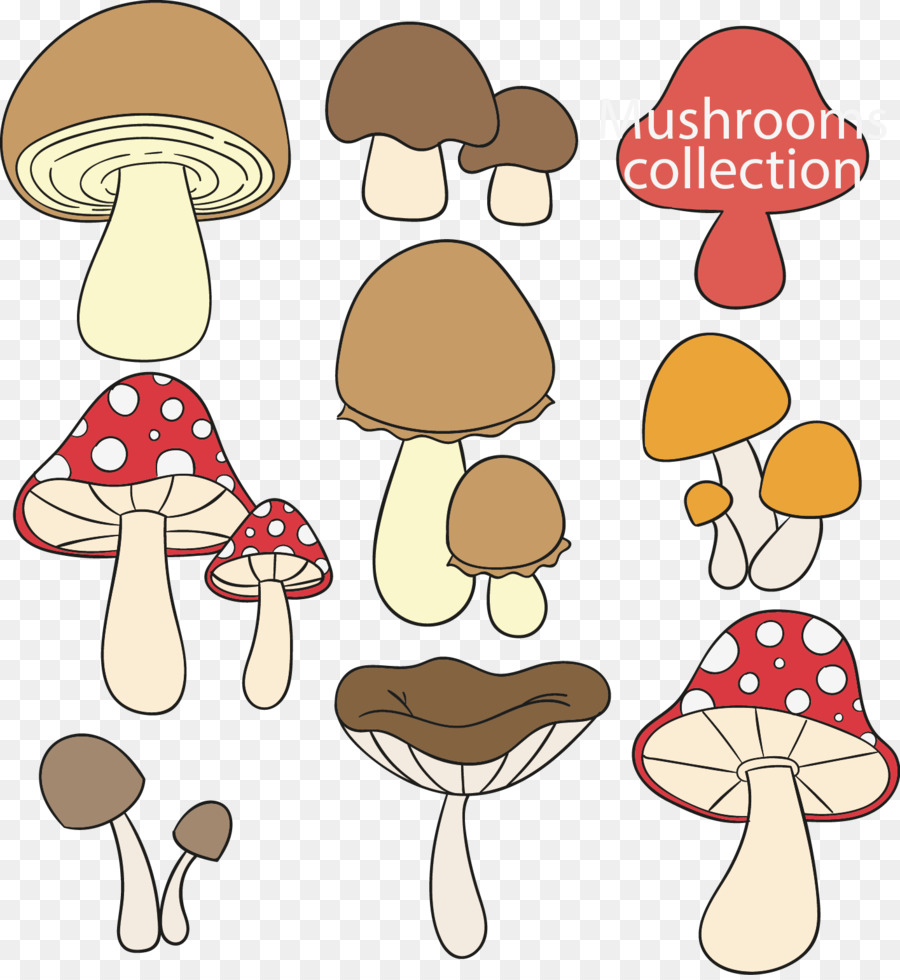 Boletus edulis Koustrup & Co. Cartaz de cogumelos comestíveis, cogumelos  criativos pintados à mão dos desenhos animados, pintura em aquarela,  personagem de desenho animado, pintado png