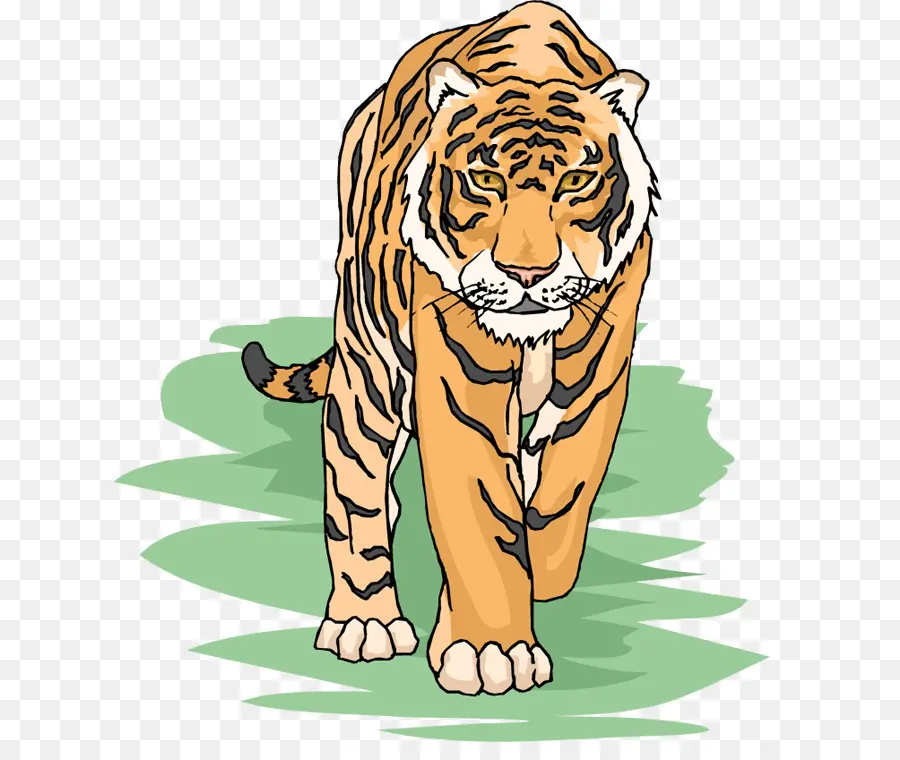 Tigre，Animais Selvagens PNG