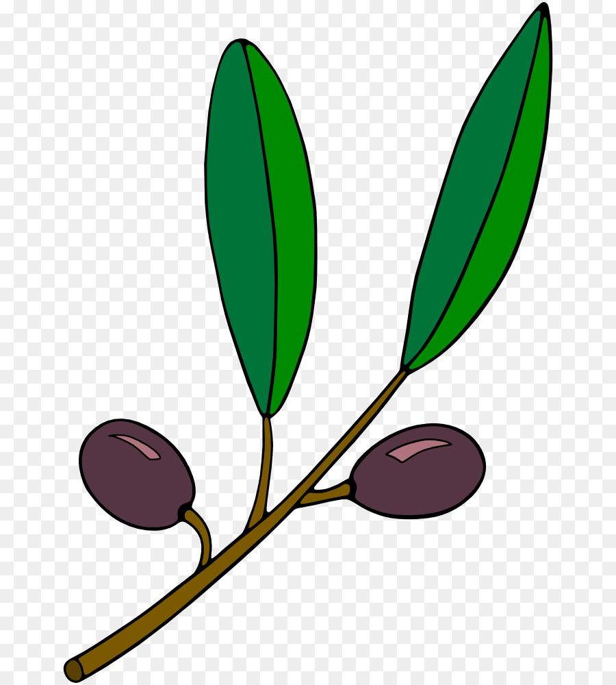 Azeite De，Olive Branch PNG