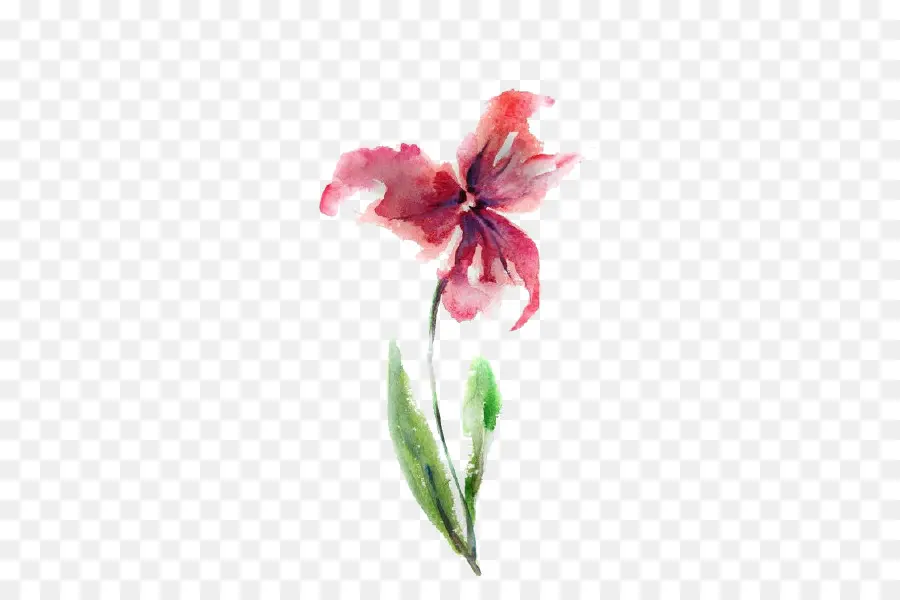 Aquarela Flores，Pintura Em Aquarela PNG