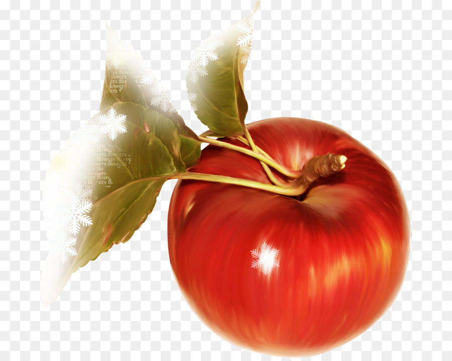 Tomate，Brinde PNG