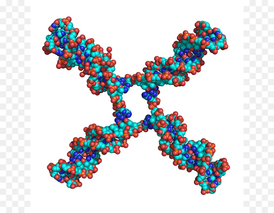 Estrutura Molecular，Molécula PNG