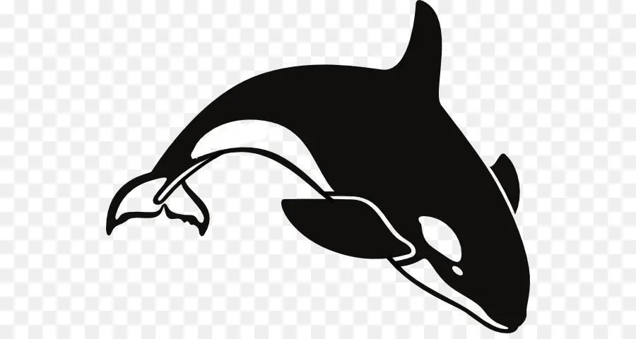 Baleia Assassina，Baleia PNG