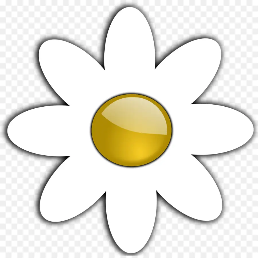 Comum Daisy，Livro De Colorir PNG