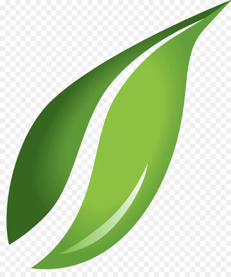 Folha Verde，Natureza PNG