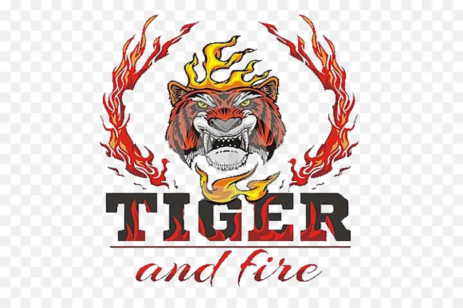 Tigre E Fogo，Tigre PNG