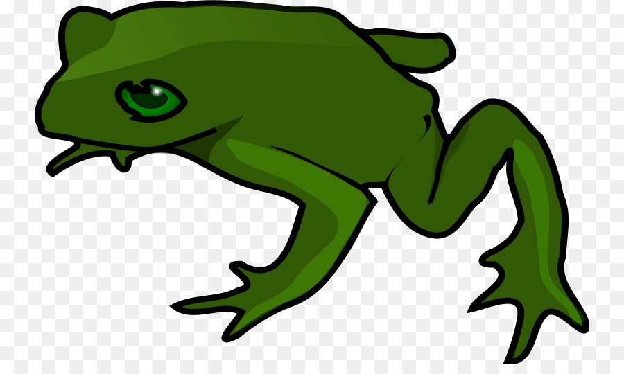 Sapo Verde Dos Desenhos Animados，Animal PNG