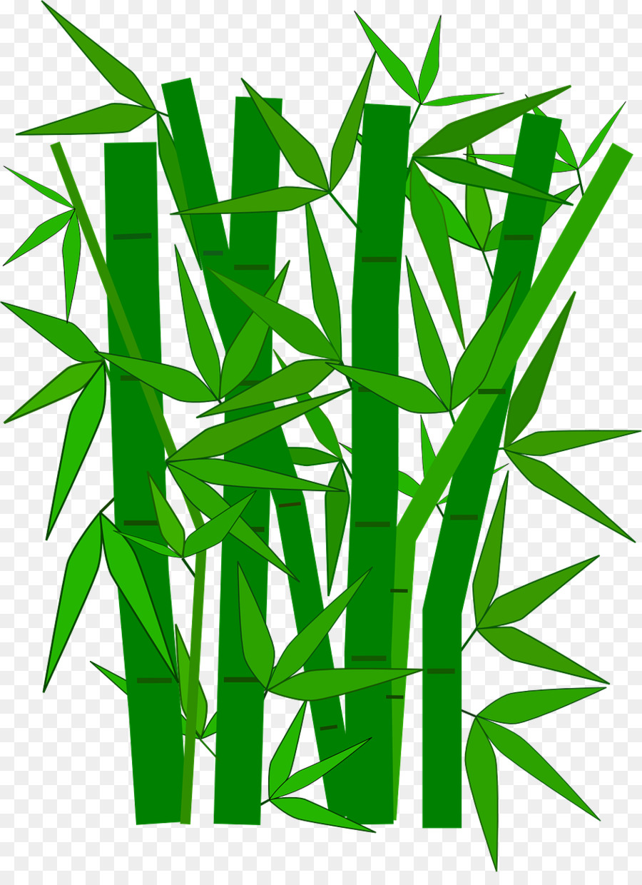 Bambu，Verde PNG