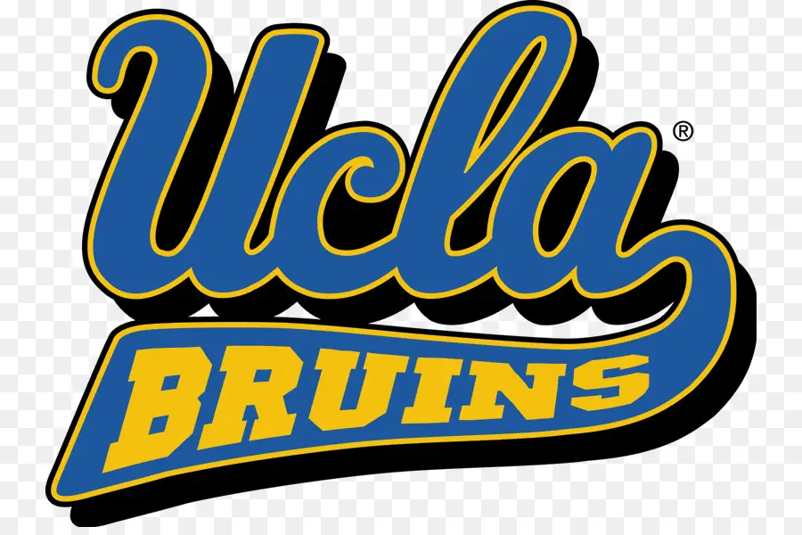 Universidade Da Califórnia Em Los Angeles，Ucla Bruins Basquete Masculino PNG