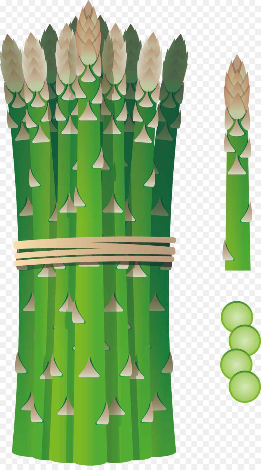 Vegetal，Prato PNG