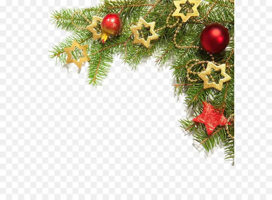 Decorações De Natal，Galhos De Pinheiro PNG