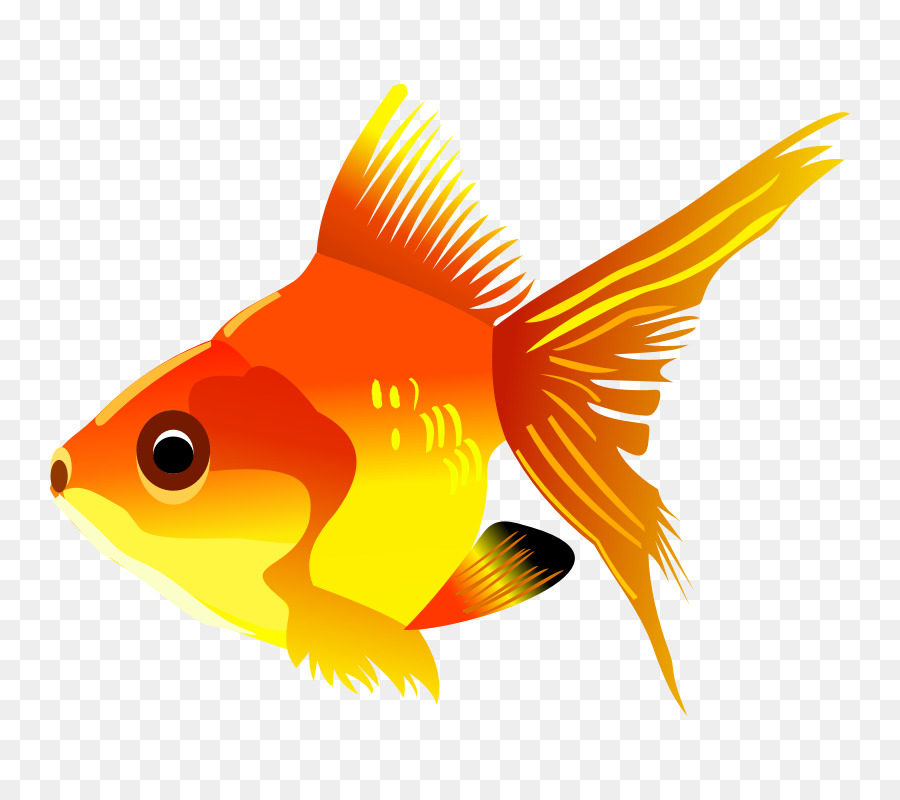 Peixe Amarelo，Aquático PNG