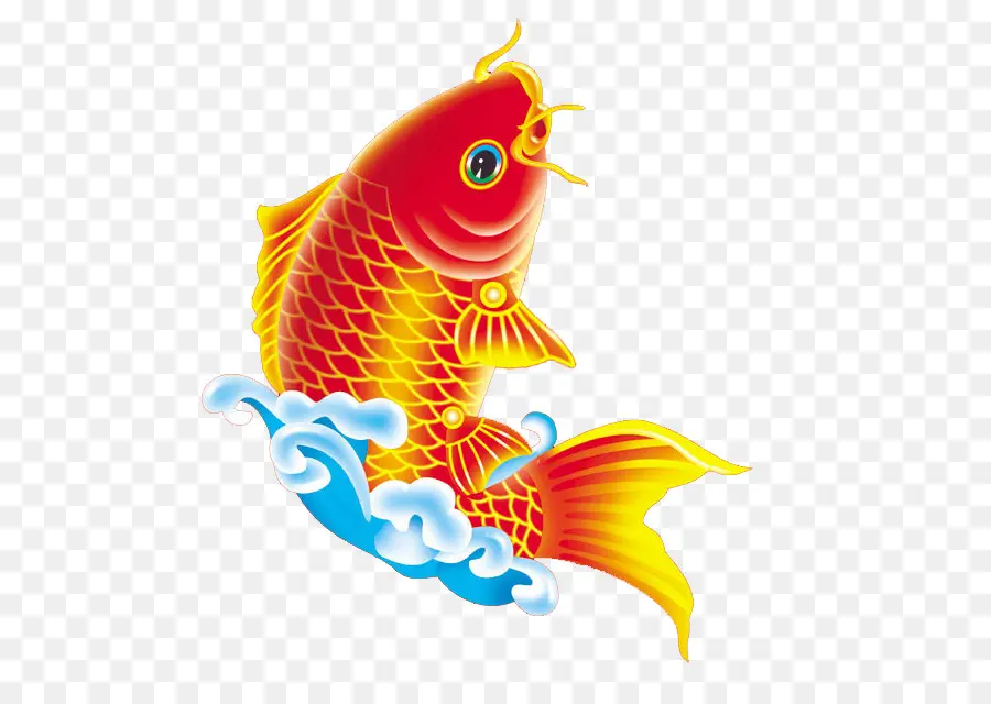 Peixe Koi，Colorido PNG