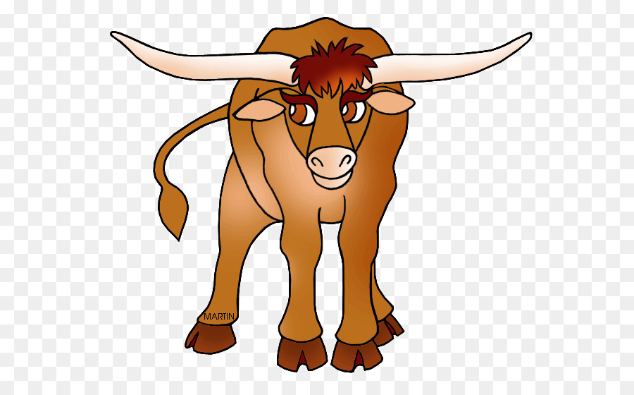 Universidade Do Texas Em Austin，Texas Longhorn PNG