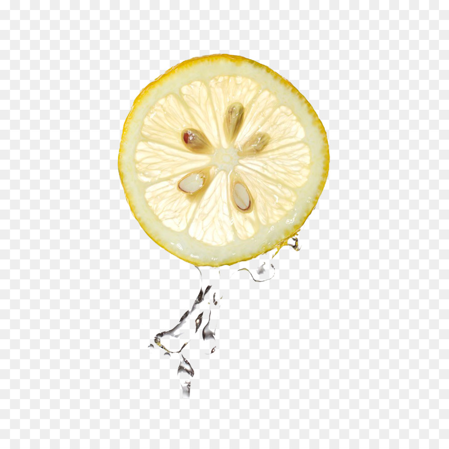 Fatia De Limão，Fruta PNG