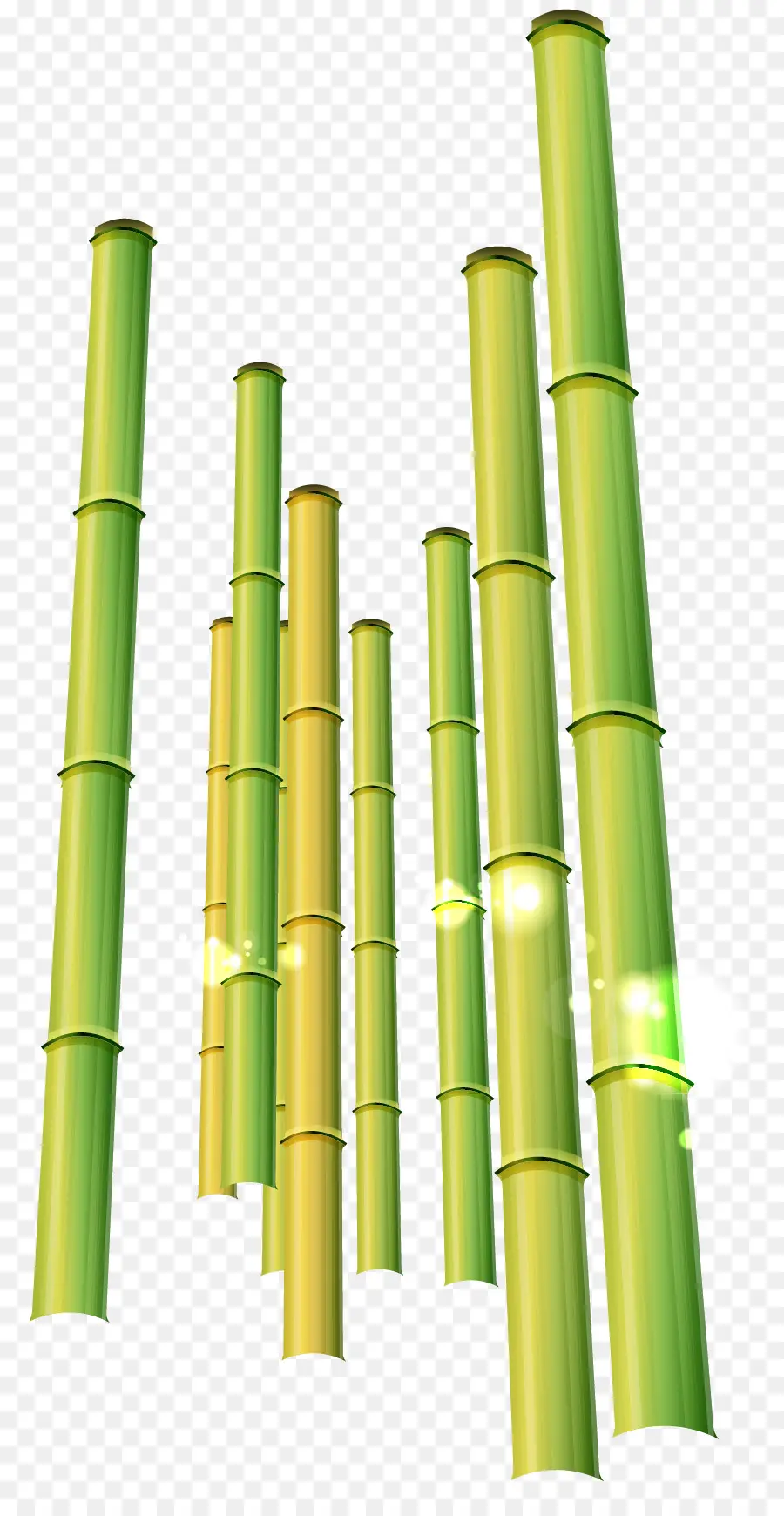 Bambu，Natureza PNG