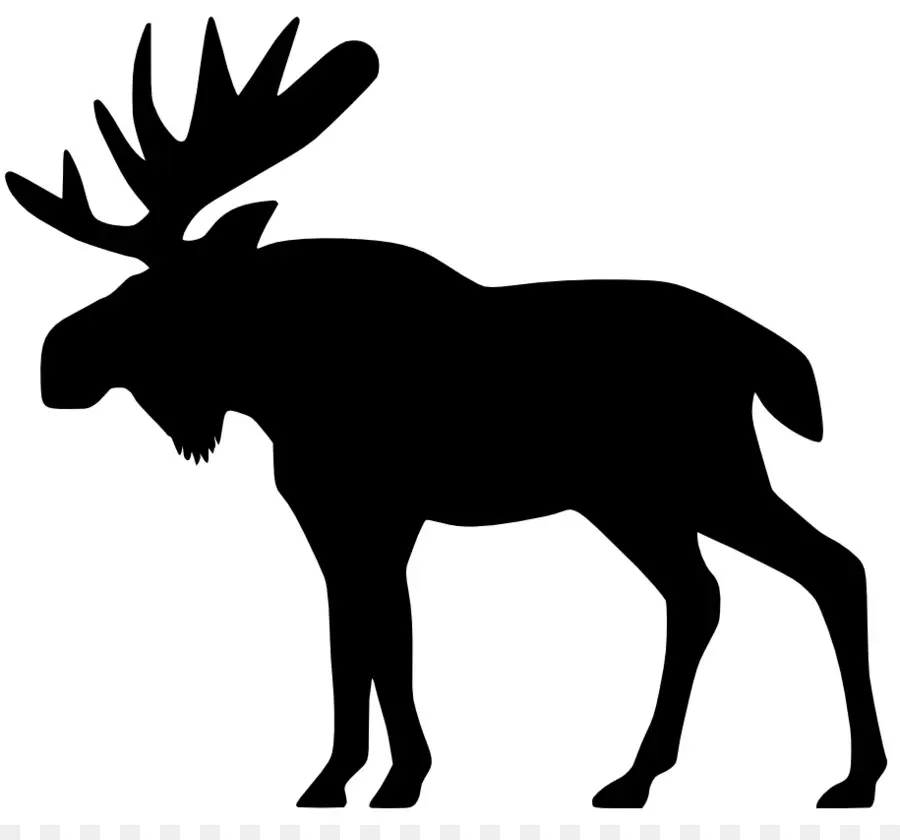 Moose，Veado PNG