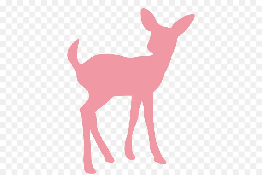 Deer，Whitetailed Veado PNG