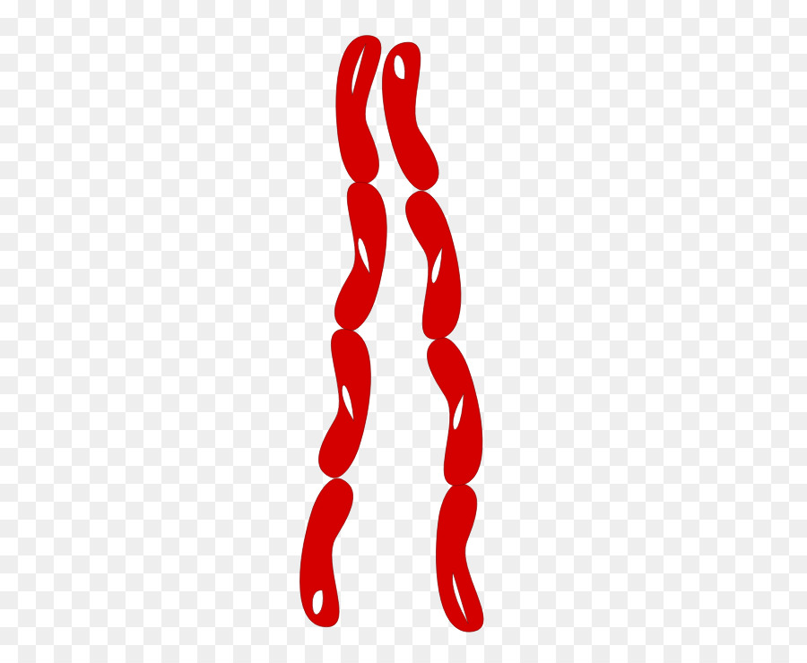 Salsichas Vermelhas，Vermelho PNG