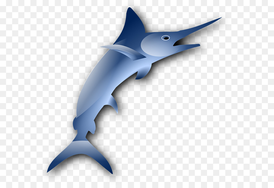 Sailfish，Download PNG