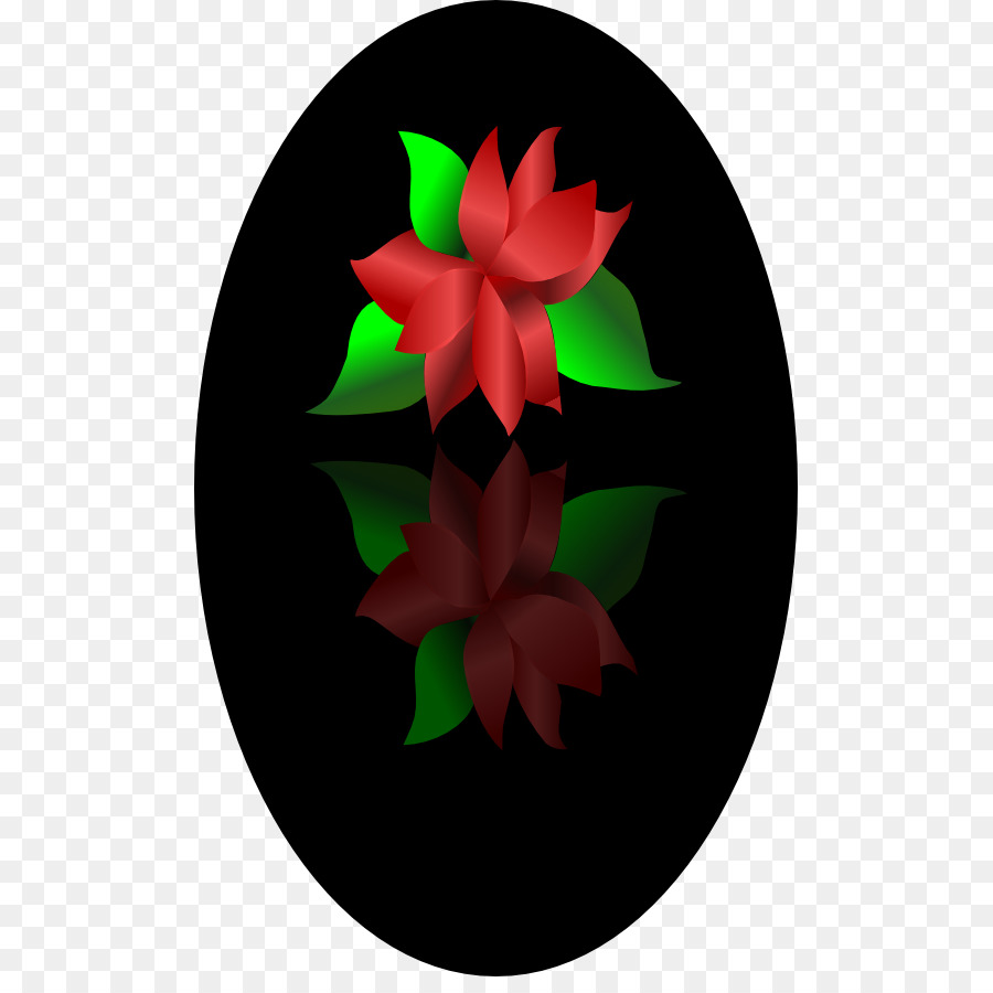 Poinsettia，Planta PNG