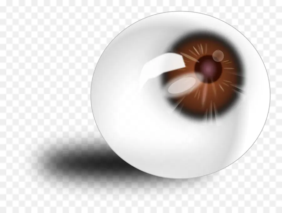 Olho Castanho，Globo Ocular PNG