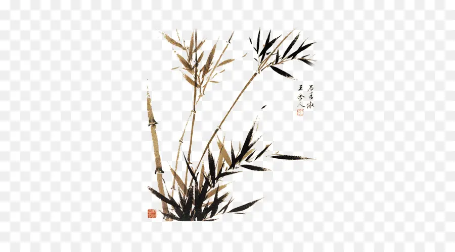 Bambu，Pintura Chinesa PNG