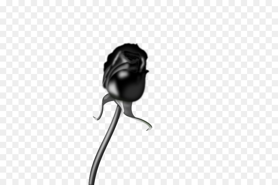 Black Rose，Rosa PNG