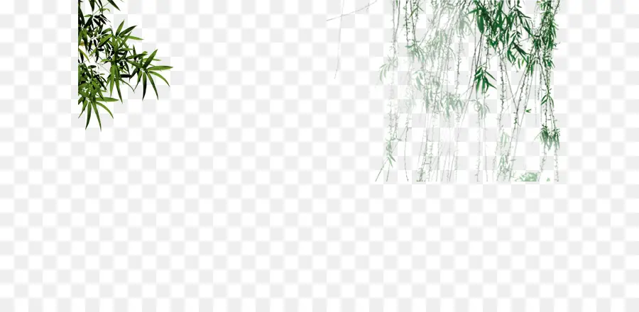 Bambu，Salix Pierotii PNG
