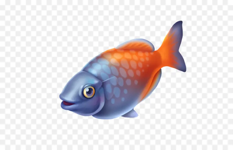 Peixinho，Peixe PNG
