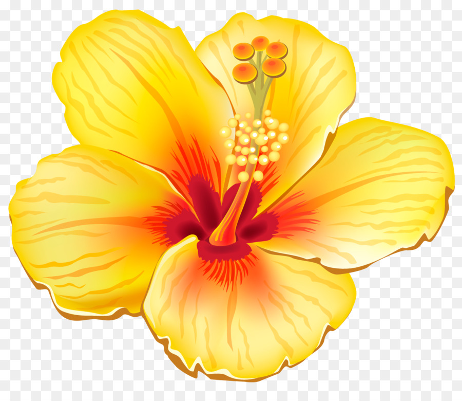 Flor, Scalable Vector Graphics, Amarelo png transparente grátis