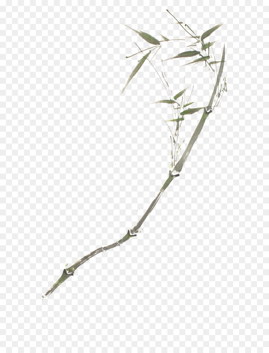 Ramo De Flor，Branco PNG