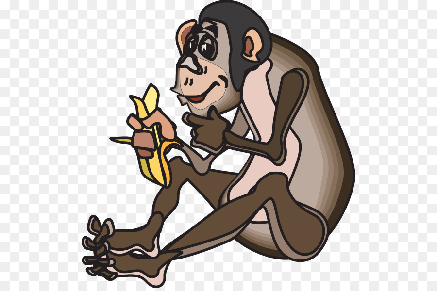 Macaco，Banana PNG