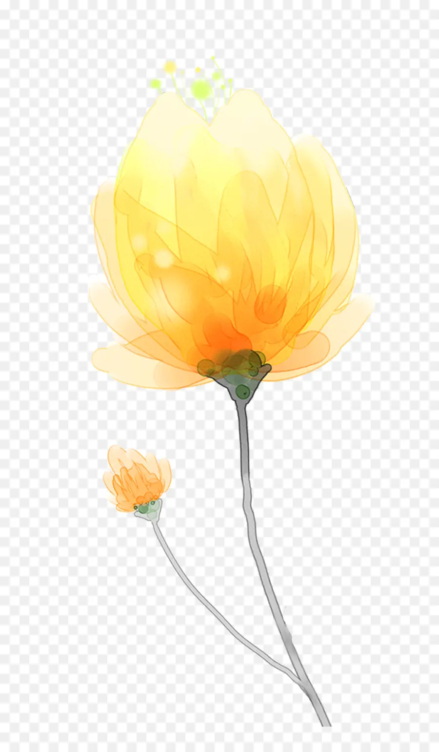 Pintura Em Aquarela，Amarelo PNG