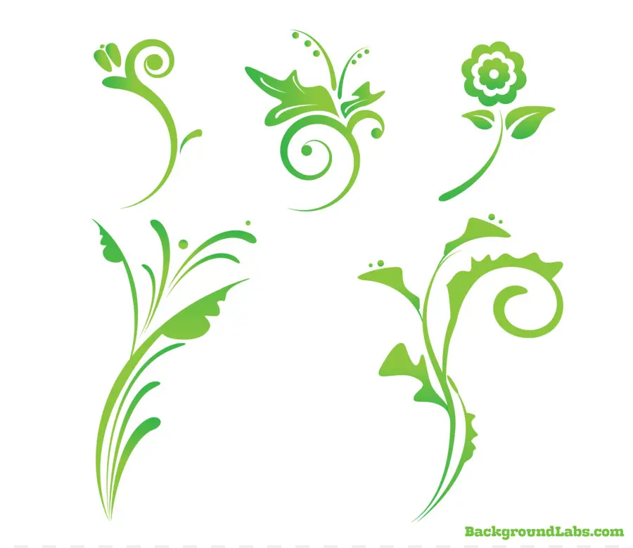 Desenhos Florais Verdes，Folhas PNG