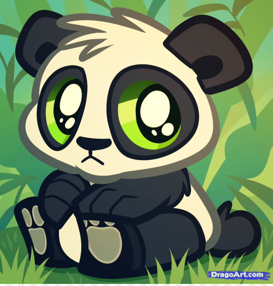 Panda branco e preto, panda gigante urso desenho panda vermelho bebê pandas,  panda, animais, carnívoro, desenho animado png