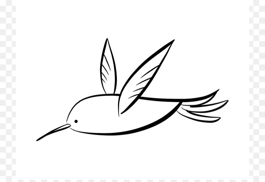 Colibri，Preto E Branco PNG