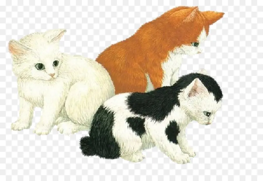 Gatinhos，Gatinho Branco PNG