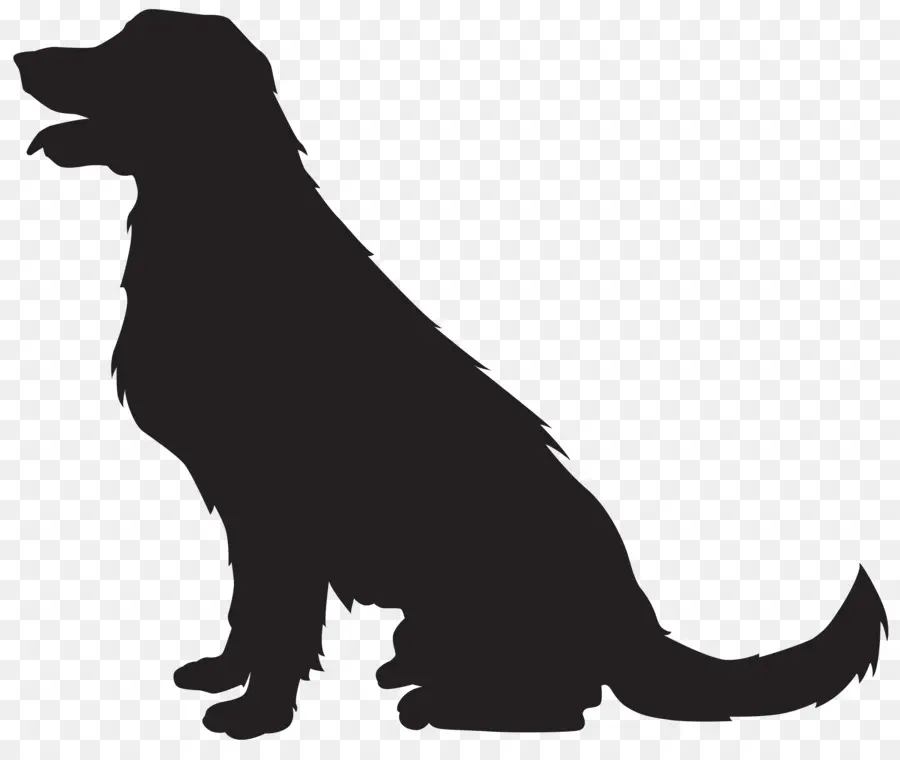 Golden Retriever，Labrador Retriever PNG