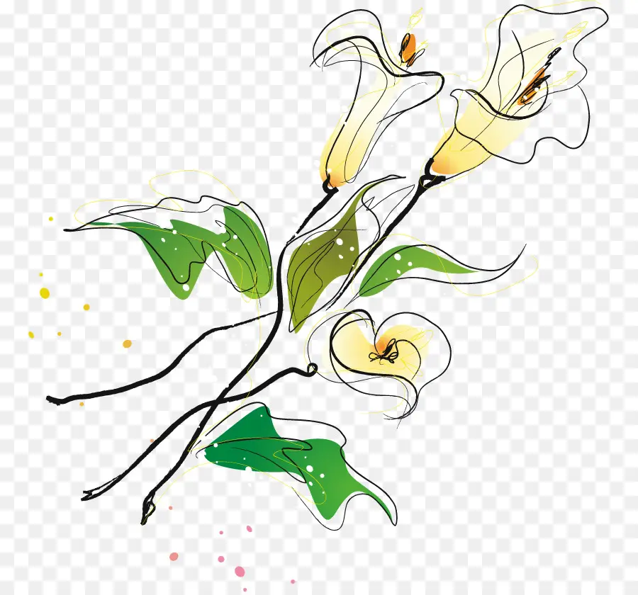 Design Floral，Desenho PNG