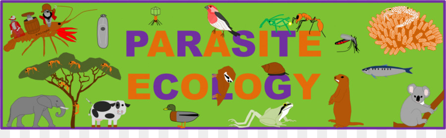 Ecossistema，Ecologia PNG