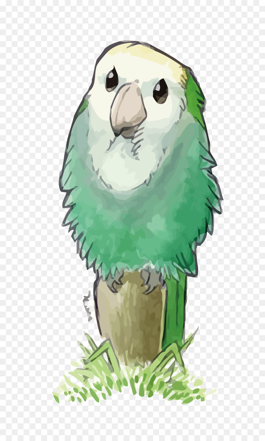 Lovebird，Papagaio Verdadeiro PNG