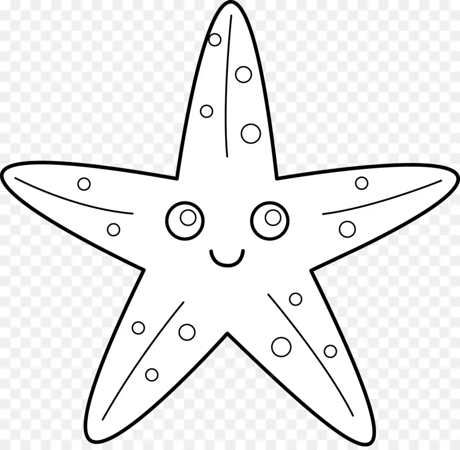 Estrela Do Mar，Preto E Branco PNG