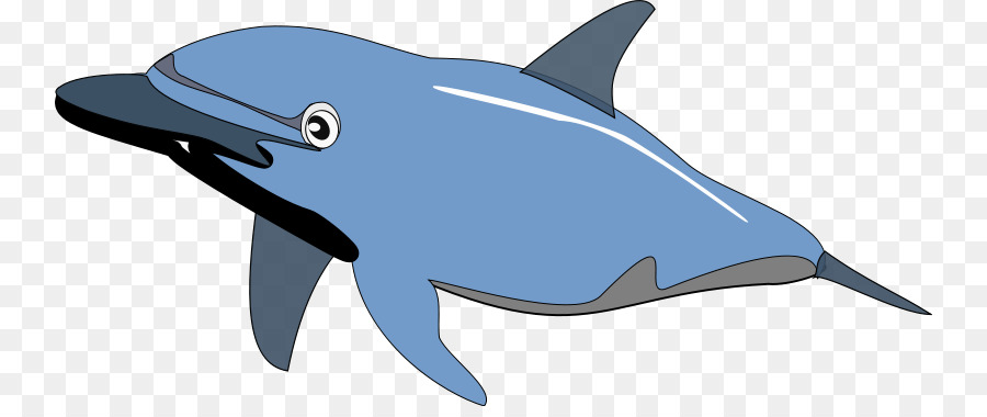 Dolphin，Conteúdo Grátis PNG