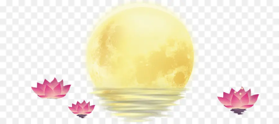 Lua Cheia，Flores De Lótus PNG