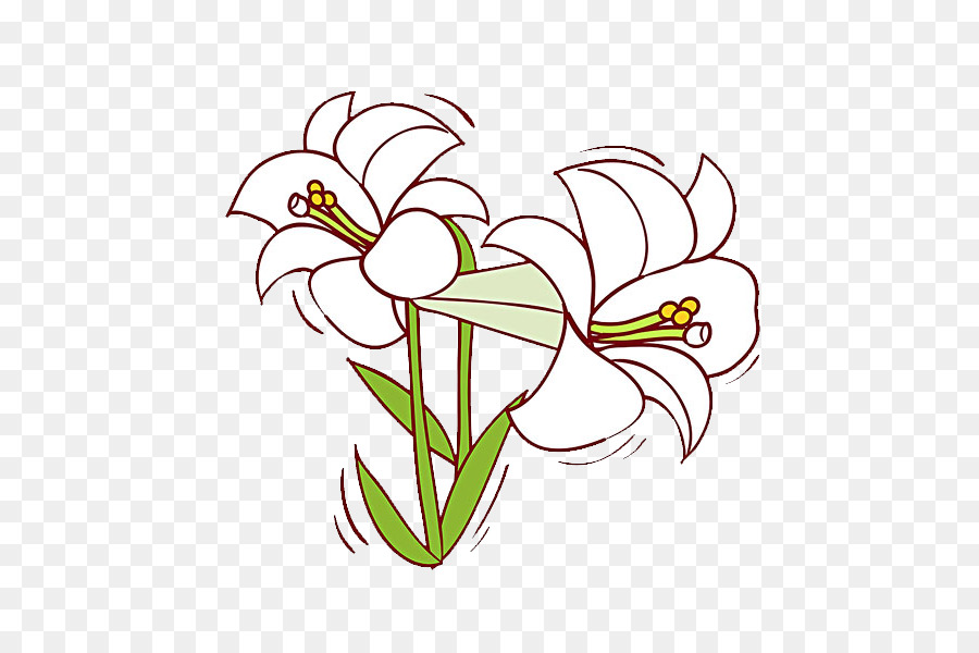 Flores Brancas，Florescer PNG