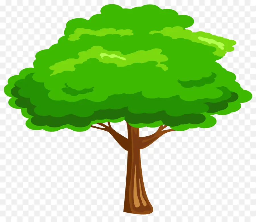 árvore，Conteúdo Grátis PNG