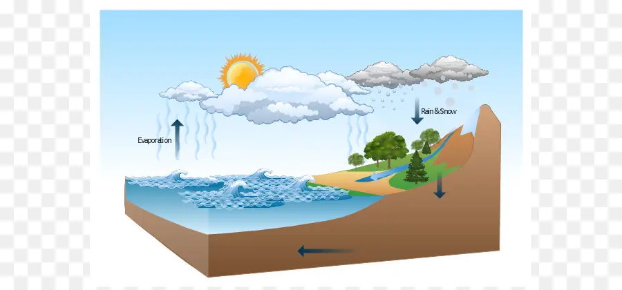 Diagrama De，Ciclo Da água PNG